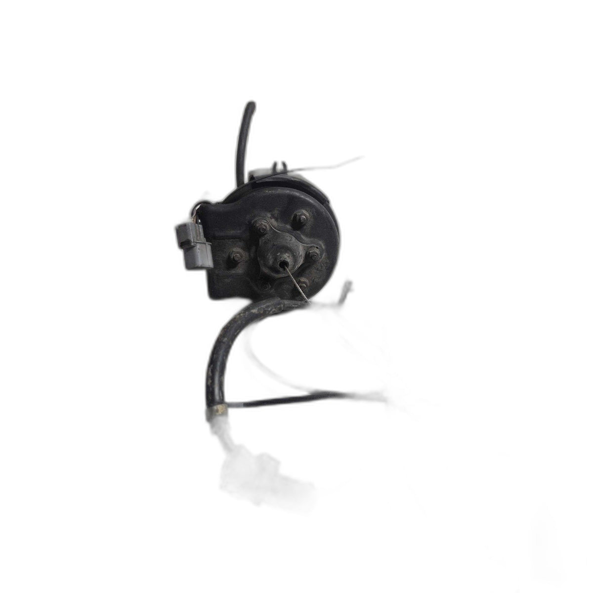 Chassis Brain Box HONDA ACCORD 98 99